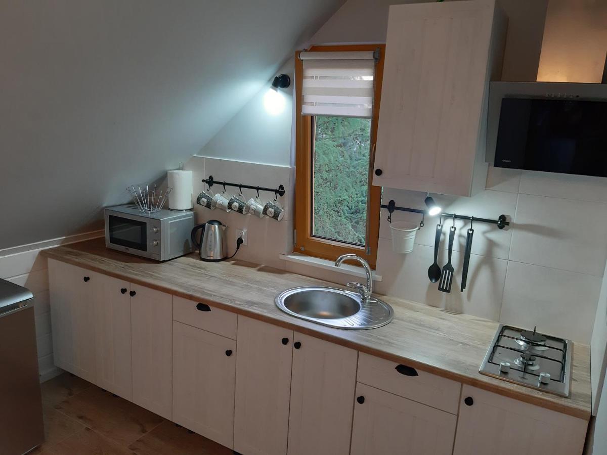 Przy Lesie Villa Białowieża Exteriör bild
